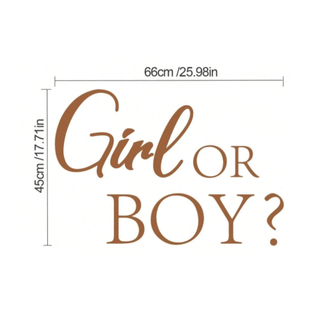 Boy Or Girl Wall Sticker Backdrop Decoration Banner