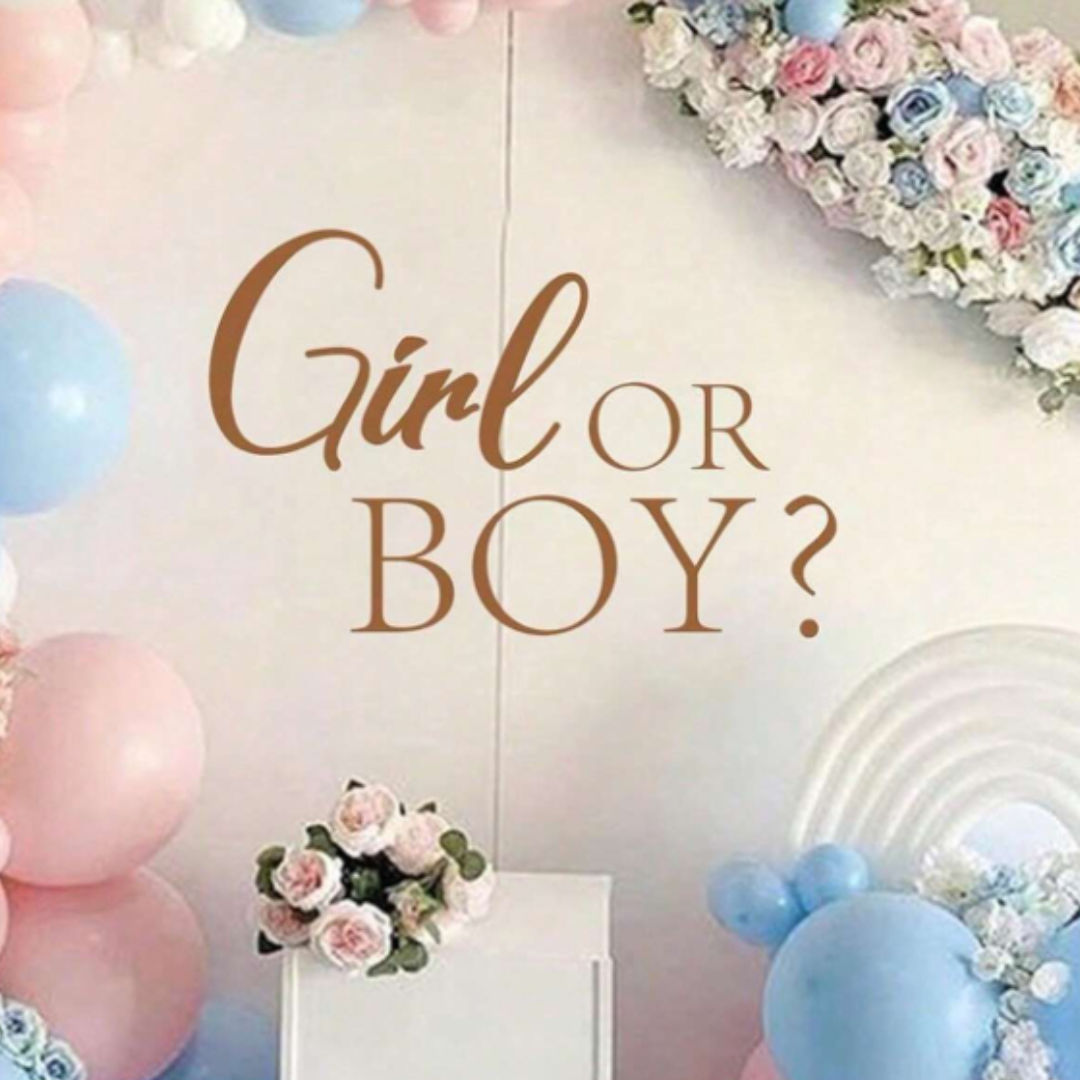 Boy Or Girl Wall Sticker Backdrop Decoration Banner