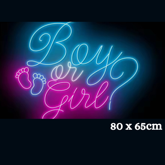 Boy or Girl?  Baby Shower, Gender Reveal Neon Sign for the Rent (80 x 65cm)