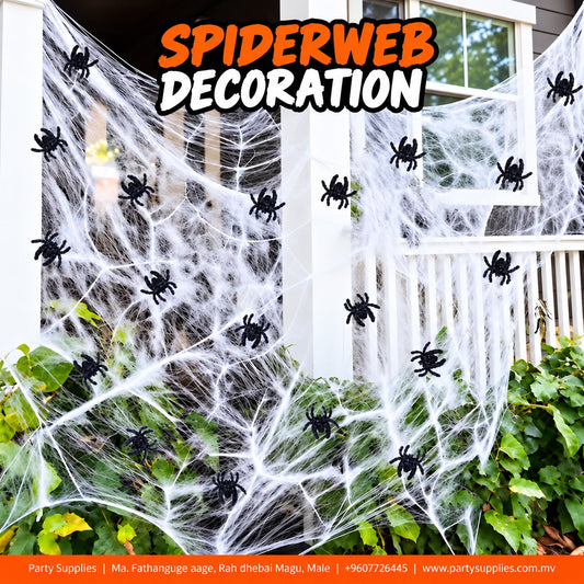 Spiderweb Decoration