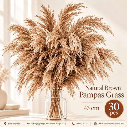 30pcs Natural Brown Pampas Grass