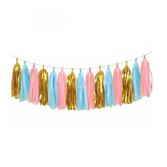 Gender Reveal Party Tassel Garland