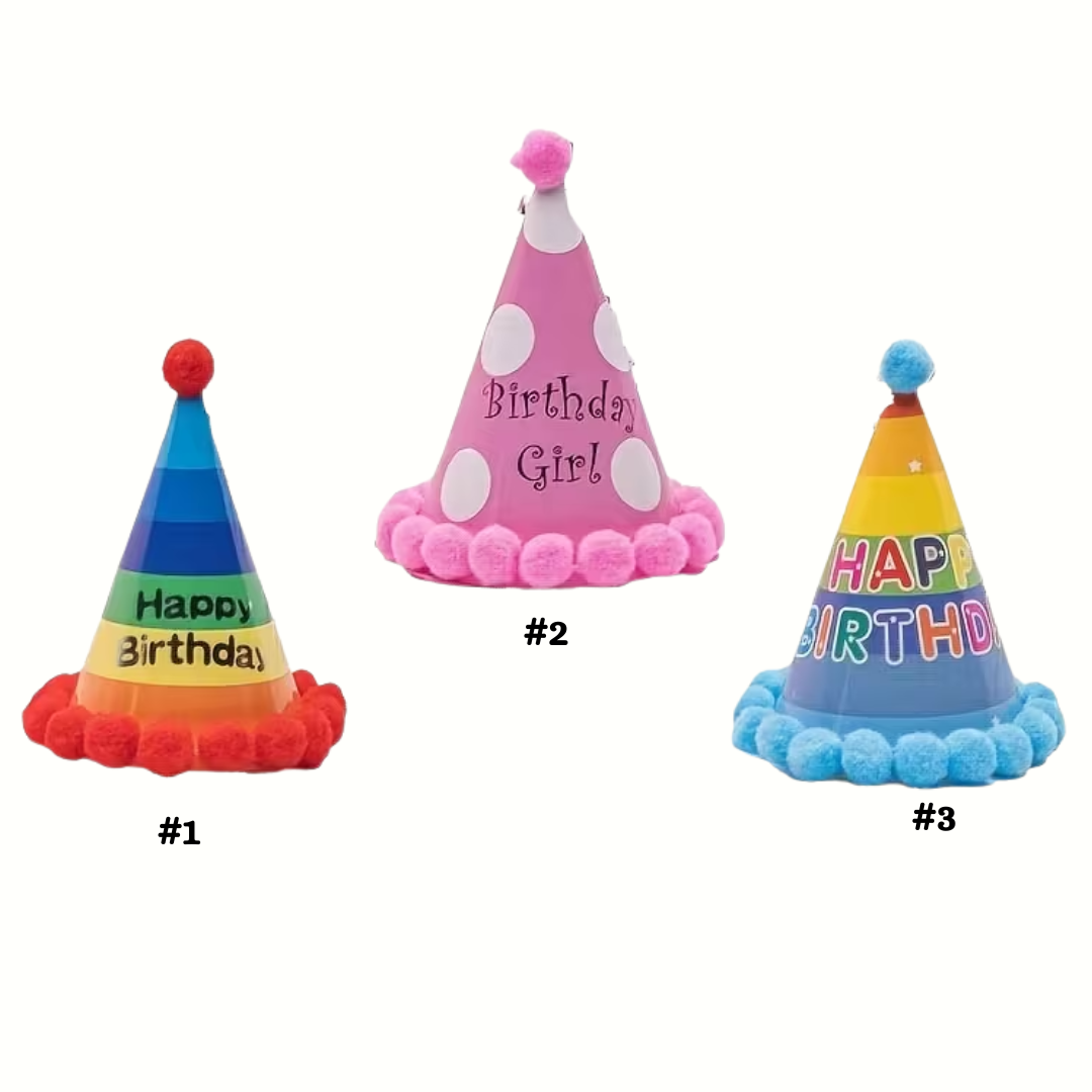 Birthday Party Cone Hats with Pom-poms