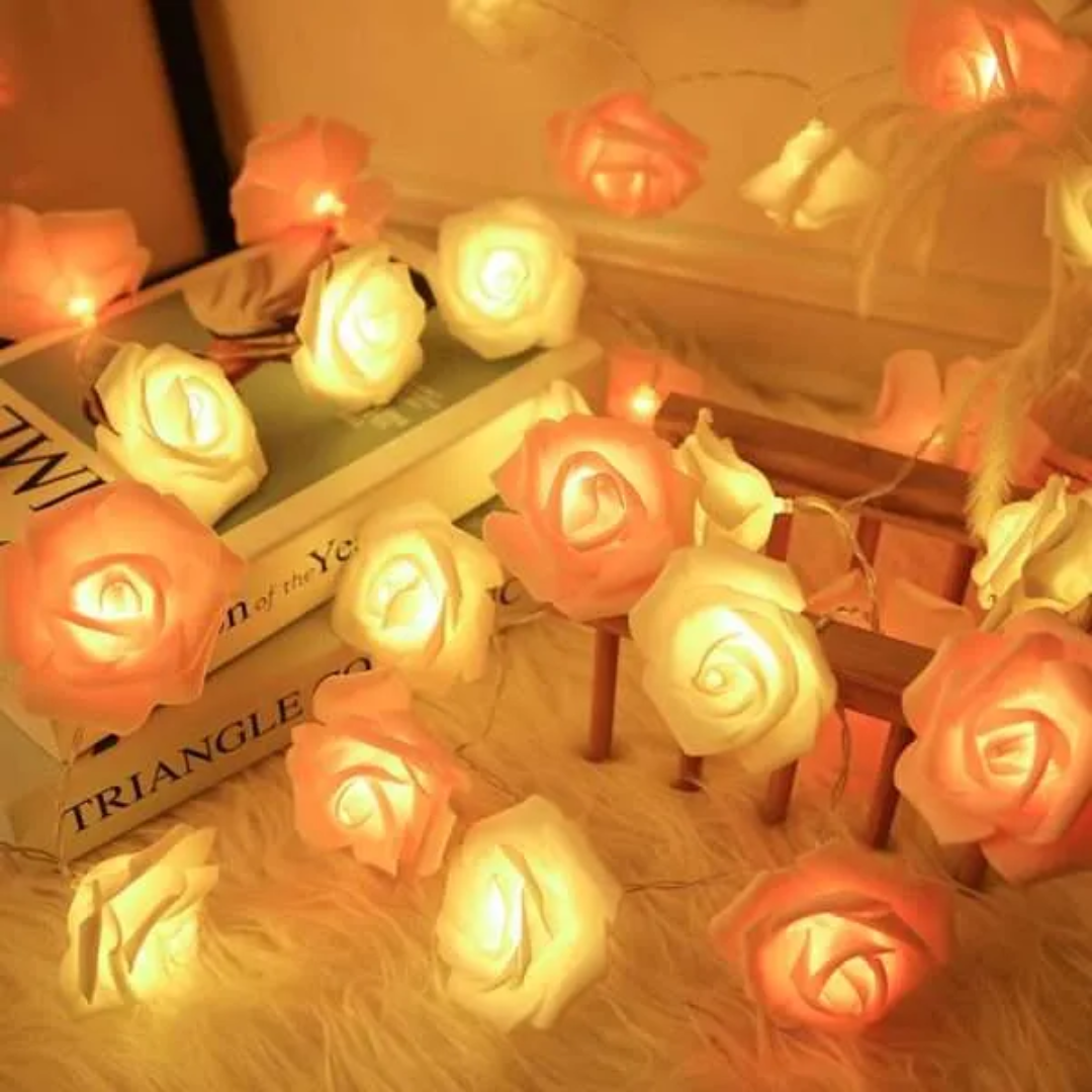 2m Red Pink Foam Rose Flower String Light
